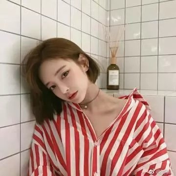 枝头凤